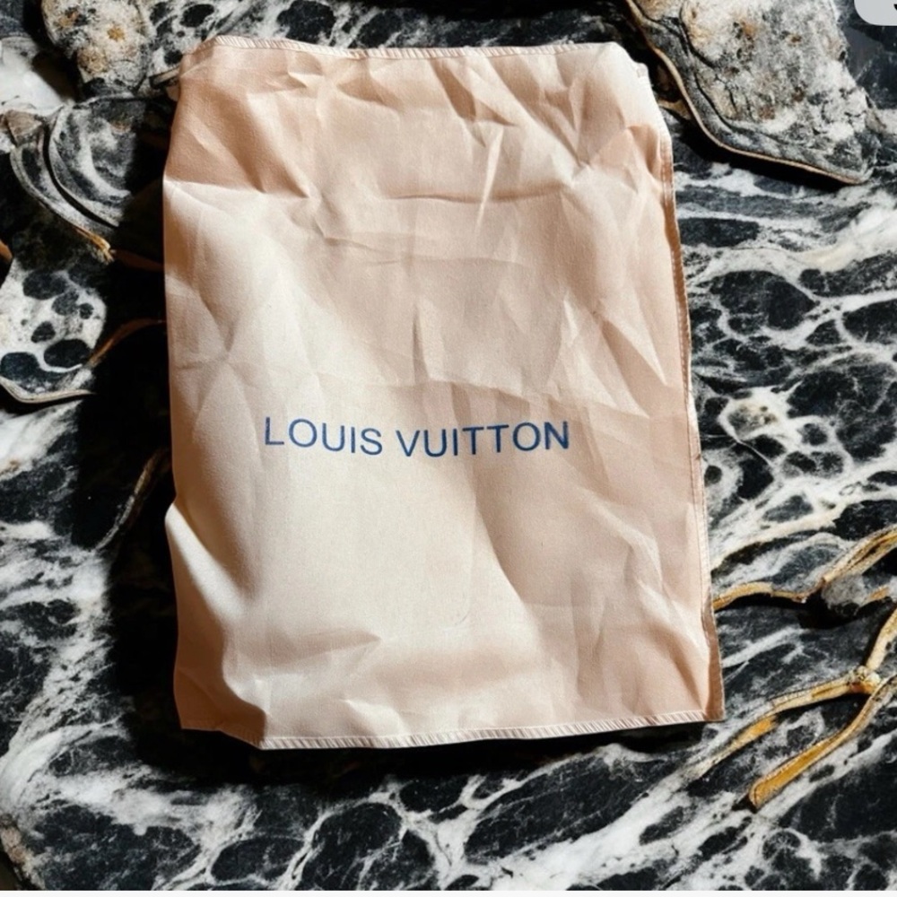 Louis Vuitton Medium Dust Bag (Fold over)